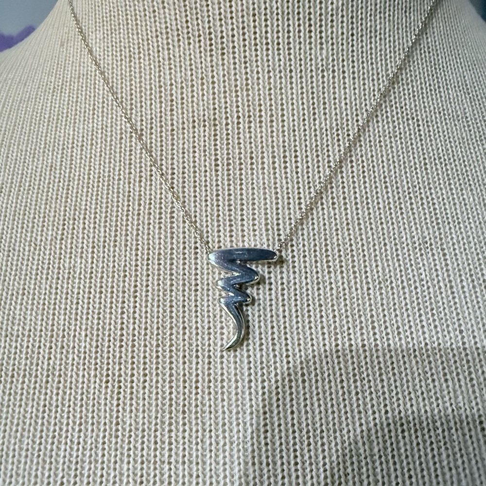 Tiffany & Co Paloma Picasso Scribble Necklace